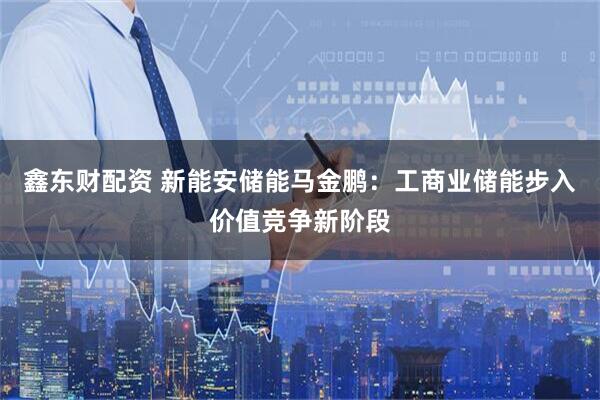 鑫东财配资 新能安储能马金鹏：工商业储能步入价值竞争新阶段