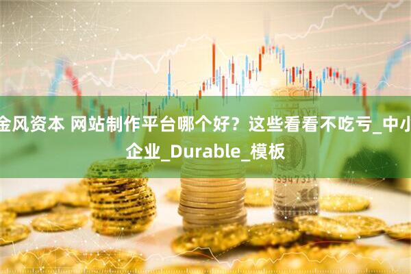金风资本 网站制作平台哪个好？这些看看不吃亏_中小企业_Durable_模板
