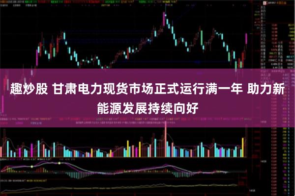 趣炒股 甘肃电力现货市场正式运行满一年 助力新能源发展持续向好