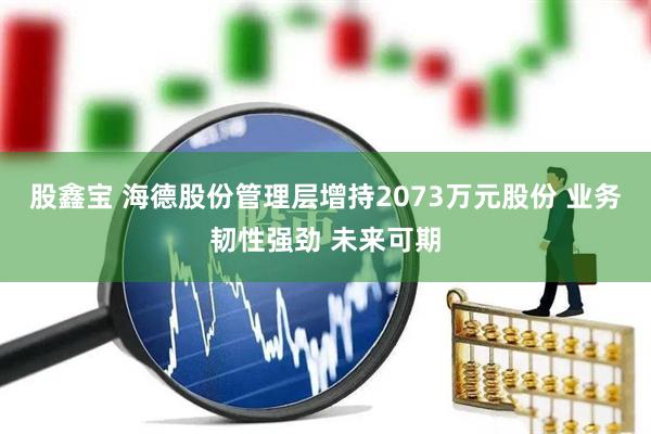 股鑫宝 海德股份管理层增持2073万元股份 业务韧性强劲 未来可期