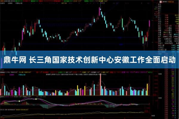 鼎牛网 长三角国家技术创新中心安徽工作全面启动