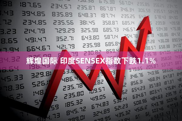 辉煌国际 印度SENSEX指数下跌1.1%