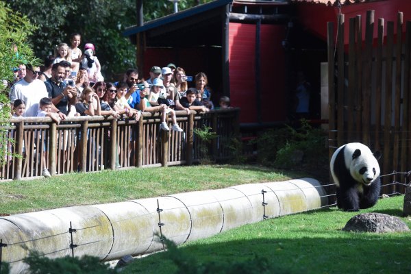 亿海配资 西班牙媒体：“中国智慧”助力世界重回秩序