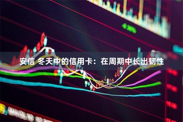 安信 冬天中的信用卡：在周期中长出韧性