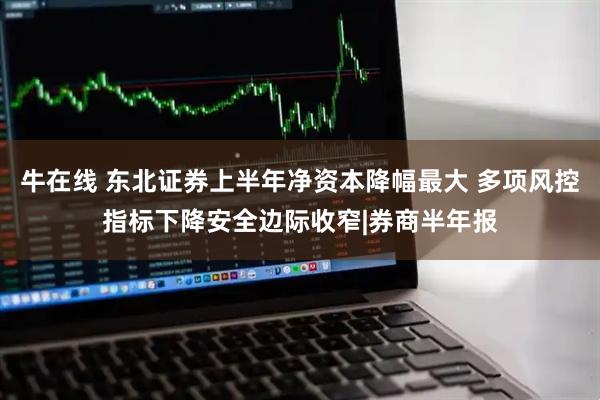 牛在线 东北证券上半年净资本降幅最大 多项风控指标下降安全边际收窄|券商半年报